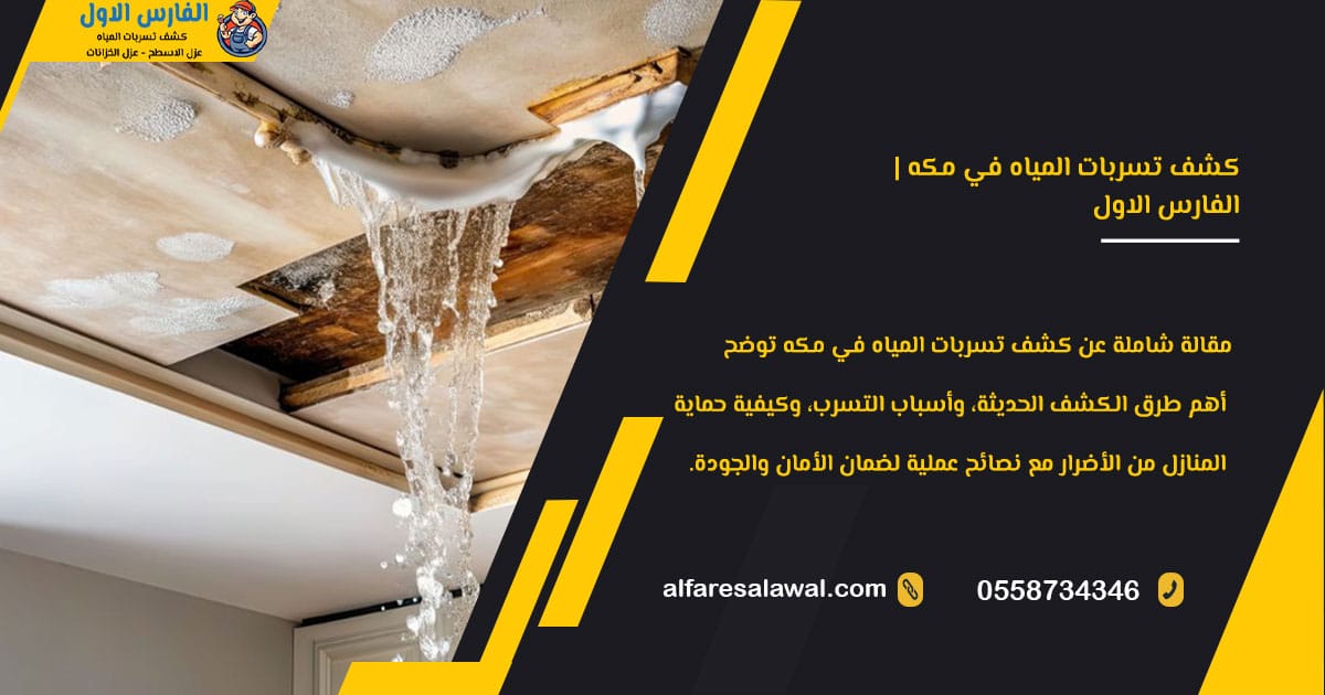 كشف تسربات المياه في مكه | افضل شركة كشف تسربات المياه بمكة