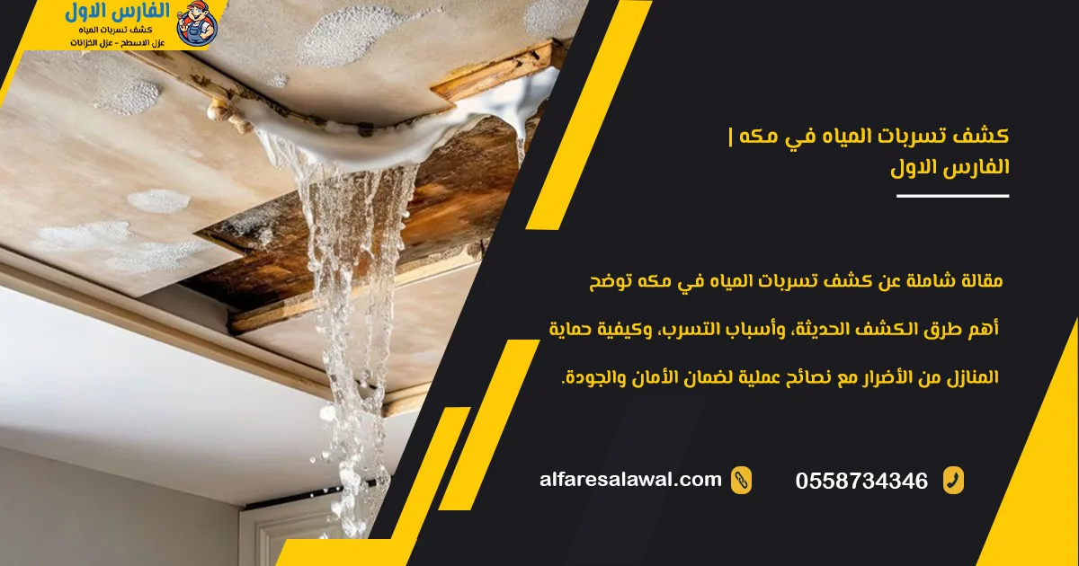 كشف تسربات المياه في مكه | افضل شركة كشف تسربات المياه بمكة